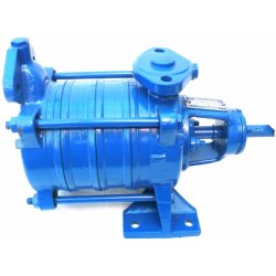 25-SVA-3o-LM-1